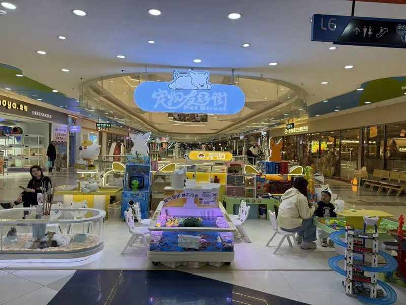 城市生活趋势：宠物友好业态的执行标准与互动逻辑