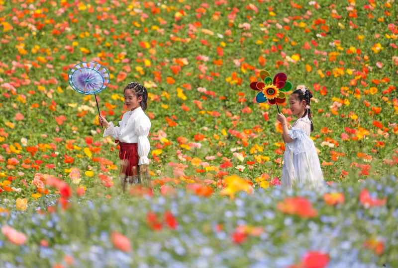  假日流动背后的算法：解析消费供给端的数字化转型 IT技术
