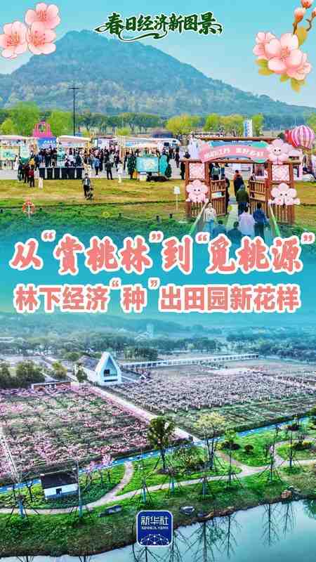 繁花落尽后的寂寥与丰盈：从阳山桃林探寻乡村共生的哲学