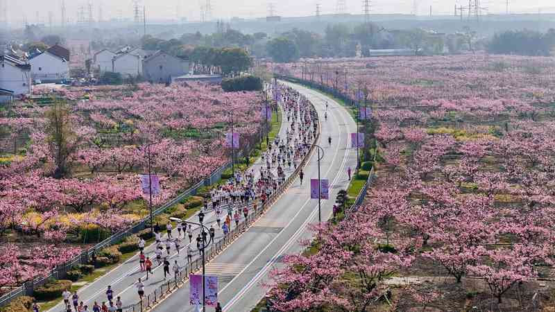  繁花落尽后的寂寥与丰盈：从阳山桃林探寻乡村共生的哲学 文化旅游