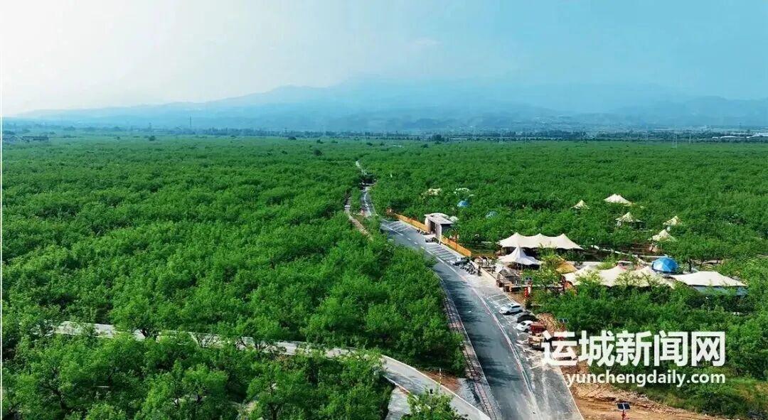  河东四月文旅矩阵拆解：从活动堆叠到体验设计的底层逻辑 文化旅游