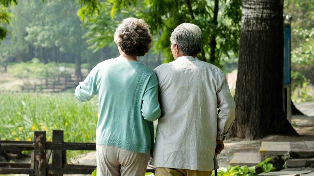  养老消费补贴：政策框架·实施逻辑·经济价值 新闻