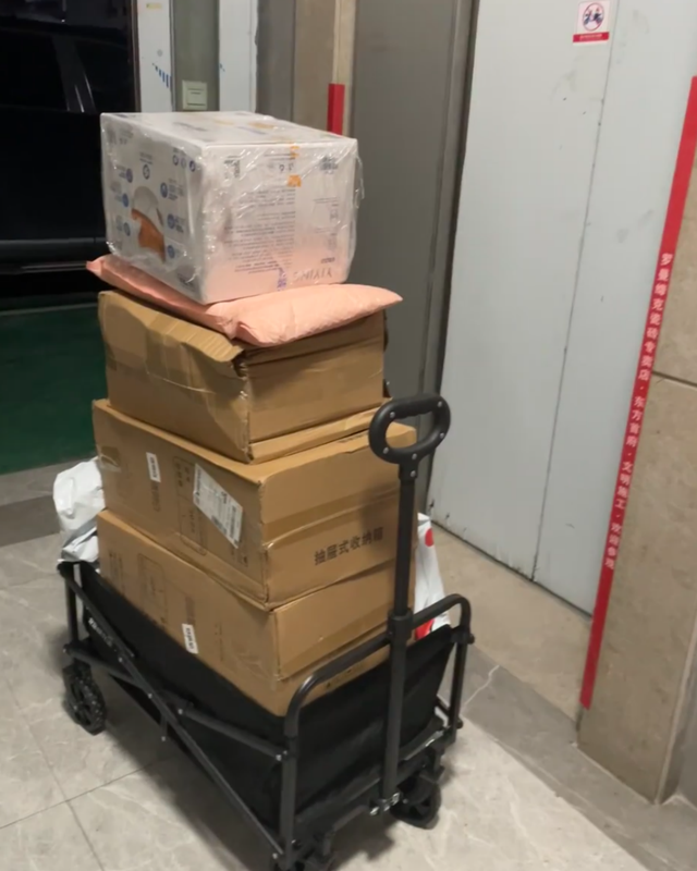  顺丰血污包裹事件：物流分拣安全体系的核心漏洞深度剖析 新闻