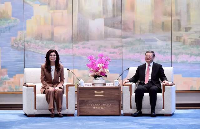  深度解析：郑丽文“和平之旅”背后的政治博弈与两岸关系破局路径 新闻