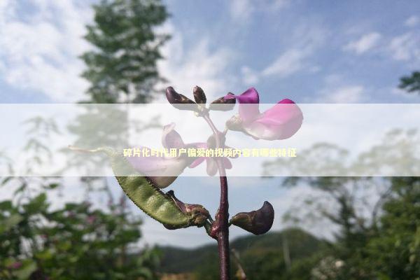 碎片化时代用户偏爱的视频内容有哪些特征 娱乐新闻