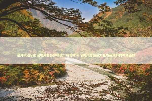 这片被遗忘的湿地藏着多少秘密：探险家带你揭开美国最大亚热带荒野的神秘面纱 文化旅游