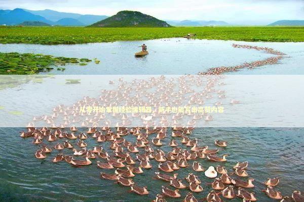 从零开始掌握经验编辑器，新手也能写出高赞内容 IT技术